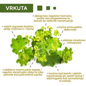 121518229 3423970794324370 5081632147809919434 n