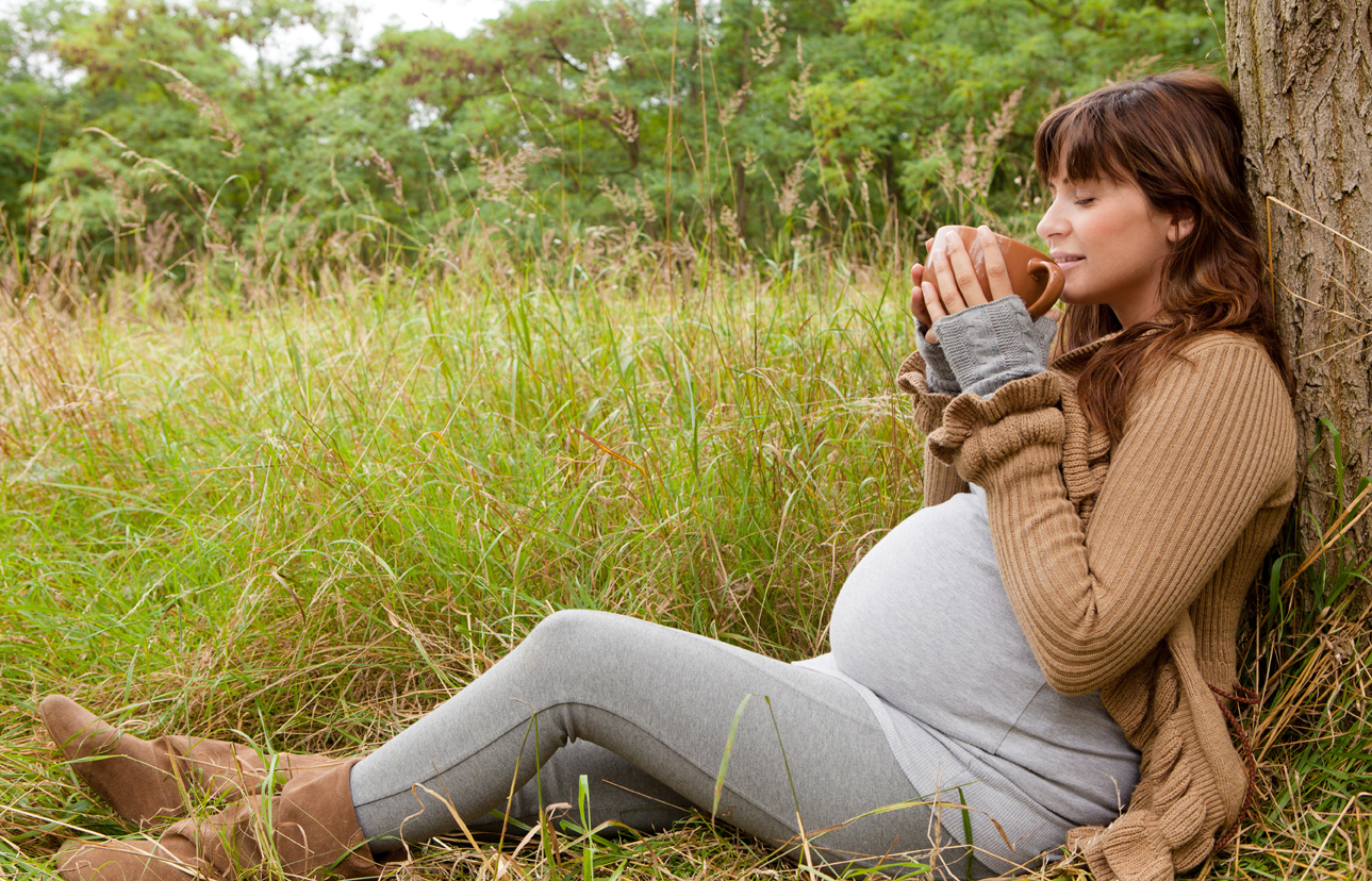 pregnancy herbal teas