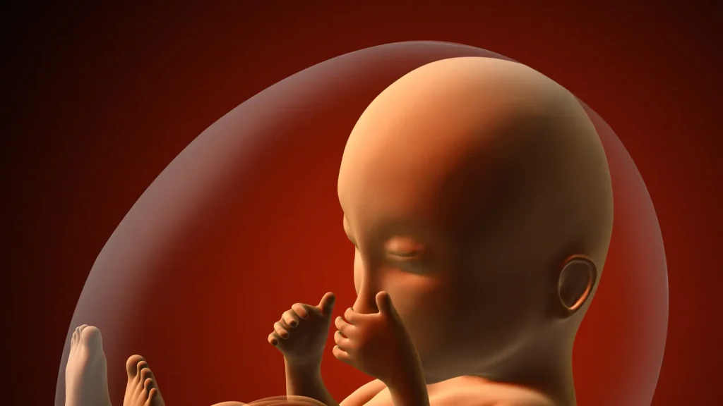 black fetus 163937654016x9 1 black fetus 163937654016x9 1